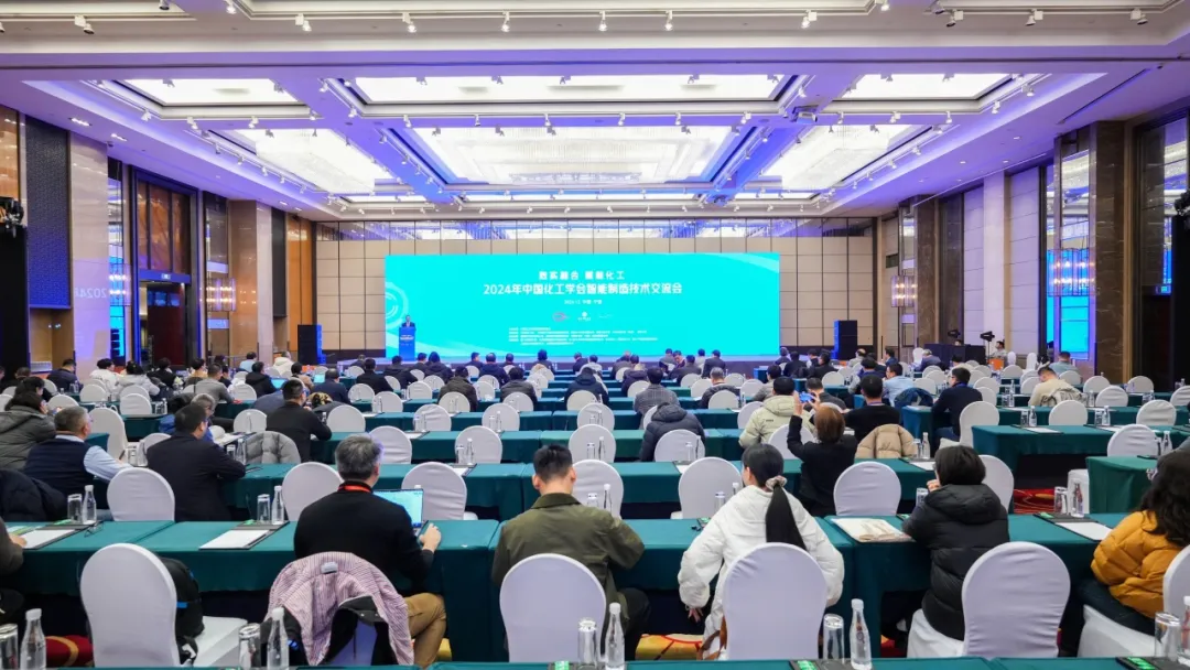 万物向新 秉势而行 | 彩虹多多2024年第四季度动态速览